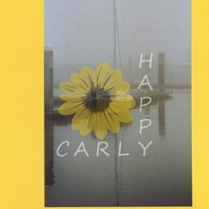 franklin d. roosevelt, franklin roosevelt quote, quote graphic, happycarly, happy carly