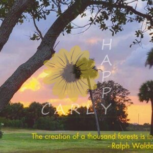 ralp waldo emerson quote, quote graphic, happycarly, happy carly