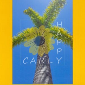 mae jemison quote, quote graphic, happycarly, happy carly