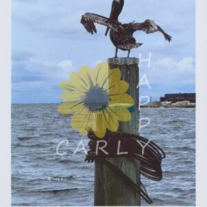 thomas fuller quote, quote graphic, happycarly, happy carly