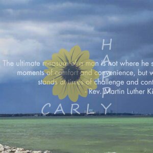 martin luther king, mlk, martin luther king jr. quote, quote graphic, happycarly, happy carly